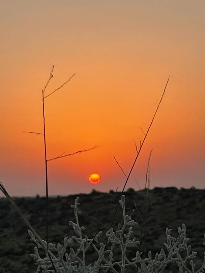 Kings Villa Jaisalmer Bagian luar foto