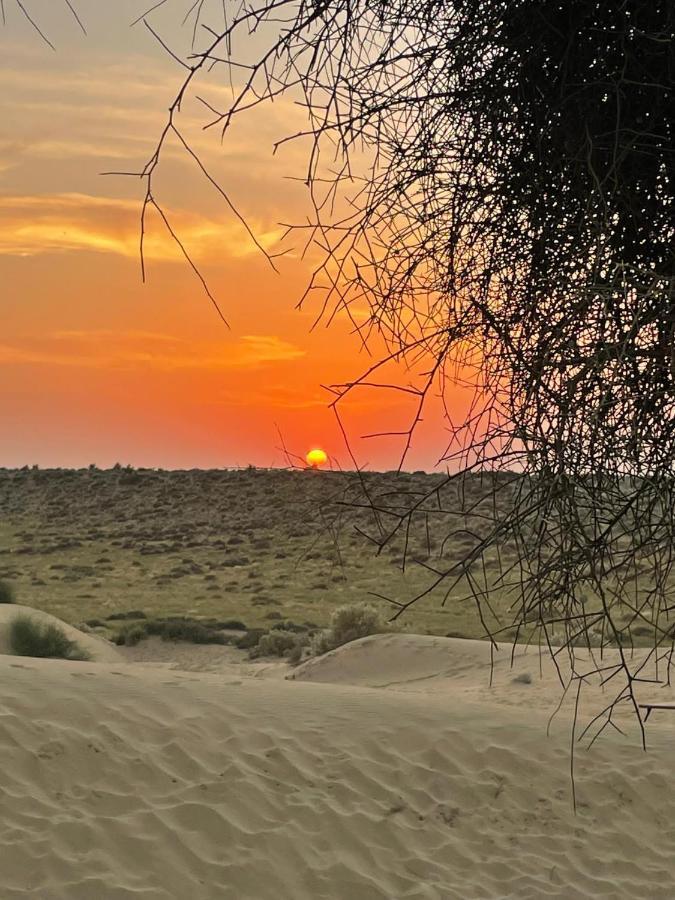 Kings Villa Jaisalmer Bagian luar foto